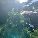 Rode Eekhoorn: Genieten Met De Dieren In Het Bos! Vakantiehuis *