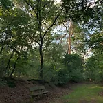 Vakantiehuis Rode Eekhoorn: Genieten Met De Dieren In Het Bos! *