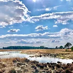 Rode Eekhoorn: Genieten Met De Dieren In Het Bos! *