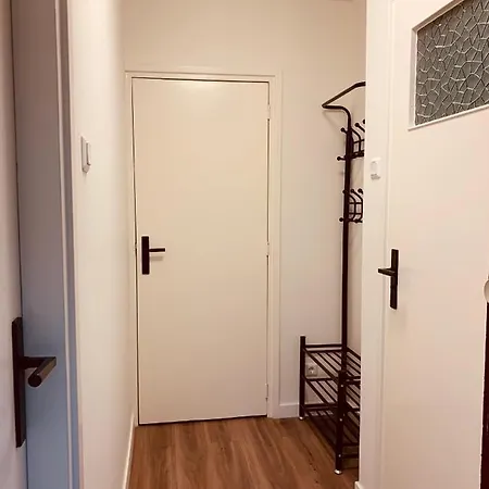 Rode Eekhoorn: Genieten Met De Dieren In Het Bos! * Otterlo