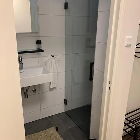 Rode Eekhoorn: Genieten Met De Dieren In Het Bos! *