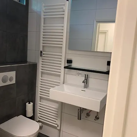 Rode Eekhoorn: Genieten Met De Dieren In Het Bos! * Otterlo