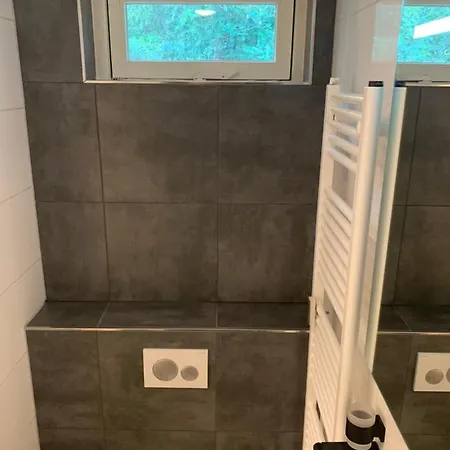 Rode Eekhoorn: Genieten Met De Dieren In Het Bos! Semesterbostad