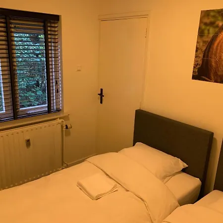 Rode Eekhoorn: Genieten Met De Dieren In Het Bos! * Otterlo