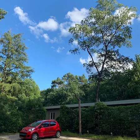 Semesterbostad Rode Eekhoorn: Genieten Met De Dieren In Het Bos! *