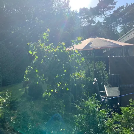 Rode Eekhoorn: Genieten Met De Dieren In Het Bos! 別荘 *