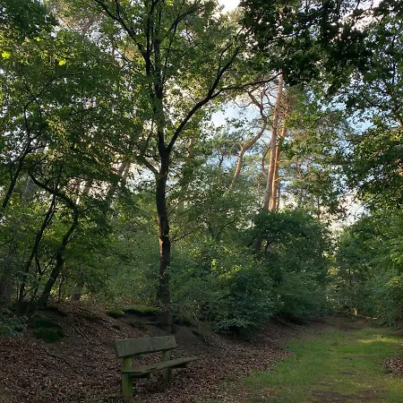 Сasa de vacaciones Rode Eekhoorn: Genieten Met De Dieren In Het Bos! *
