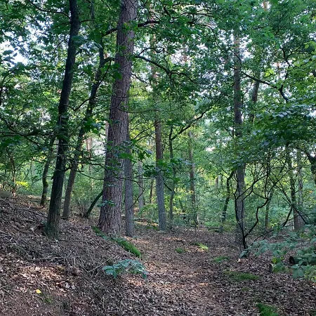 Rode Eekhoorn: Genieten Met De Dieren In Het Bos! Holiday home Otterlo