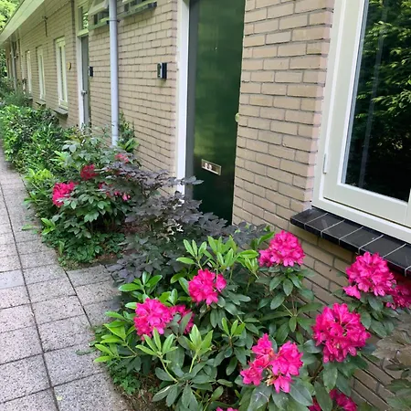 Rode Eekhoorn: Genieten Met De Dieren In Het Bos! Holiday home Otterlo