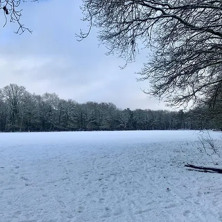 Ferienhaus Rode Eekhoorn: Genieten Met De Dieren In Het Bos! *