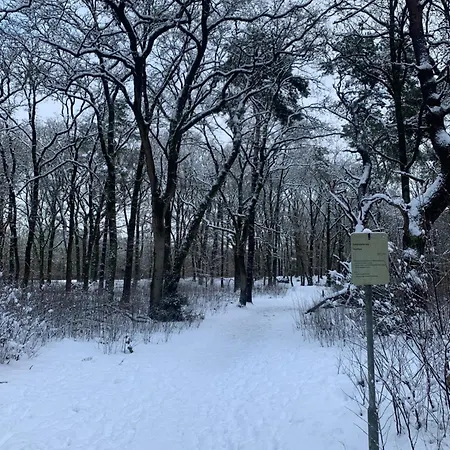 Rode Eekhoorn: Genieten Met De Dieren In Het Bos! Hébergement de vacances *