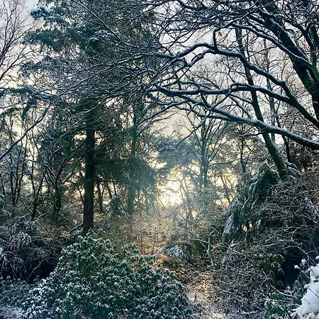 Rode Eekhoorn: Genieten Met De Dieren In Het Bos! Ferienhaus *