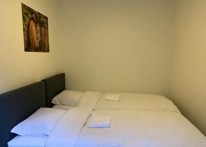 Rode Eekhoorn: Genieten Met De Dieren In Het Bos! Ferienhaus Otterlo