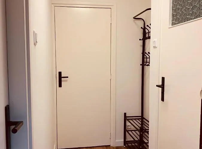 Rode Eekhoorn: Genieten Met De Dieren In Het Bos! * Otterlo