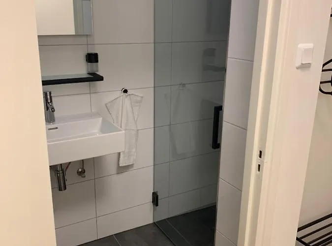 Rode Eekhoorn: Genieten Met De Dieren In Het Bos! *