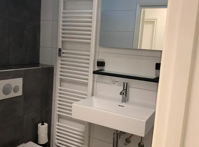 Rode Eekhoorn: Genieten Met De Dieren In Het Bos! * Otterlo