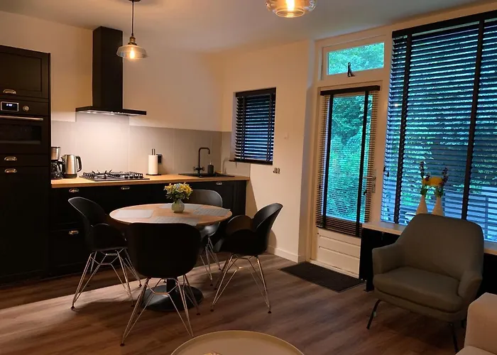 Rode Eekhoorn: Genieten Met De Dieren In Het Bos! *