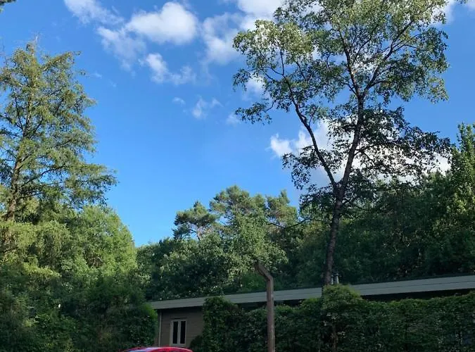 Ferienhaus Rode Eekhoorn: Genieten Met De Dieren In Het Bos! *