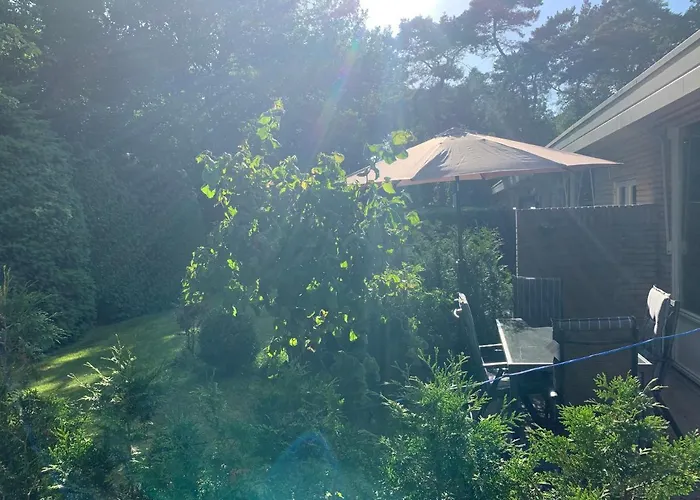 Rode Eekhoorn: Genieten Met De Dieren In Het Bos! Ferienhaus *