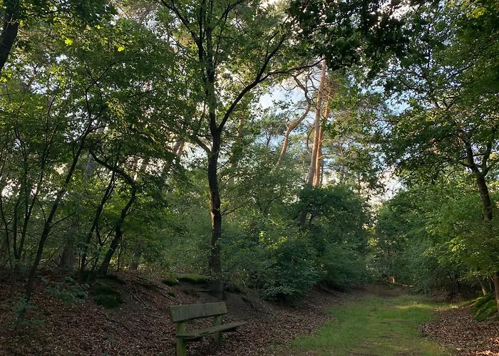 Ferienhaus Rode Eekhoorn: Genieten Met De Dieren In Het Bos! *