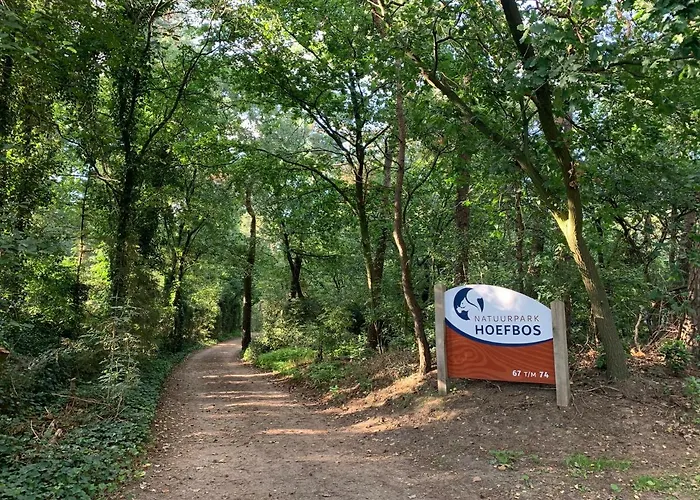 Rode Eekhoorn: Genieten Met De Dieren In Het Bos! Ferienhaus Otterlo