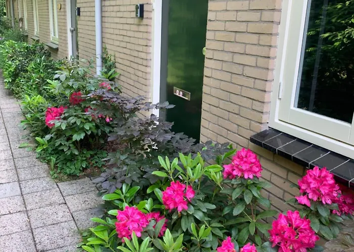 Rode Eekhoorn: Genieten Met De Dieren In Het Bos! Ferienhaus Otterlo