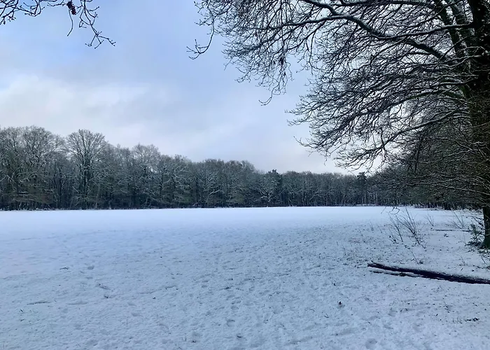 Ferienhaus Rode Eekhoorn: Genieten Met De Dieren In Het Bos! *