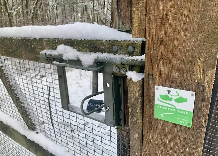 Rode Eekhoorn: Genieten Met De Dieren In Het Bos! Semesterbostad *