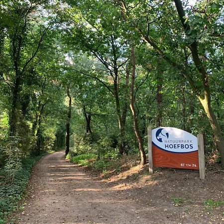 Rode Eekhoorn: Genieten Met De Dieren In Het Bos! Ferienhaus Otterlo