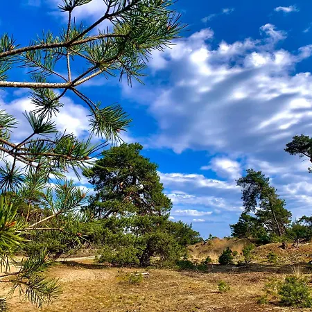 Rode Eekhoorn: Genieten Met De Dieren In Het Bos! Дом отдыха