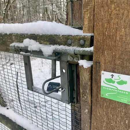 Rode Eekhoorn: Genieten Met De Dieren In Het Bos! Дом отдыха *