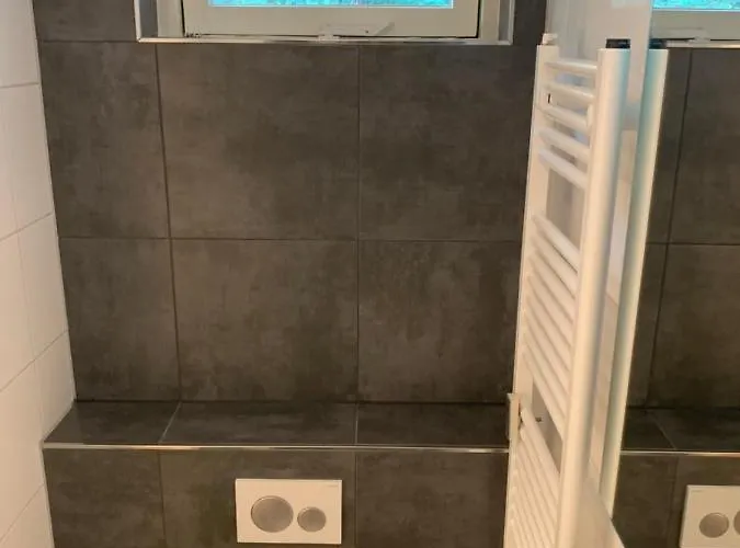 Rode Eekhoorn: Genieten Met De Dieren In Het Bos! Дом отдыха