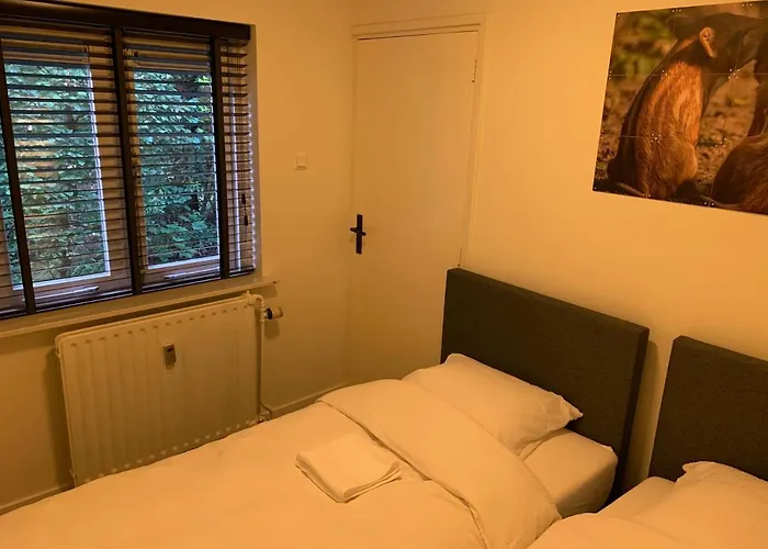 Rode Eekhoorn: Genieten Met De Dieren In Het Bos! * Оттерло