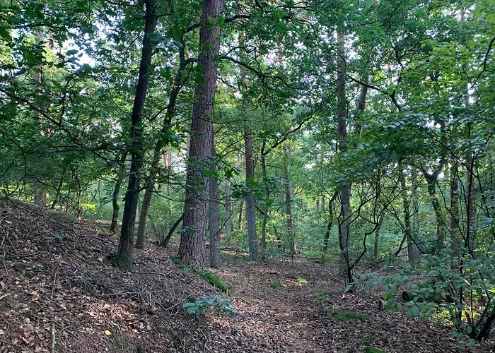 Rode Eekhoorn: Genieten Met De Dieren In Het Bos! Дом отдыха Оттерло