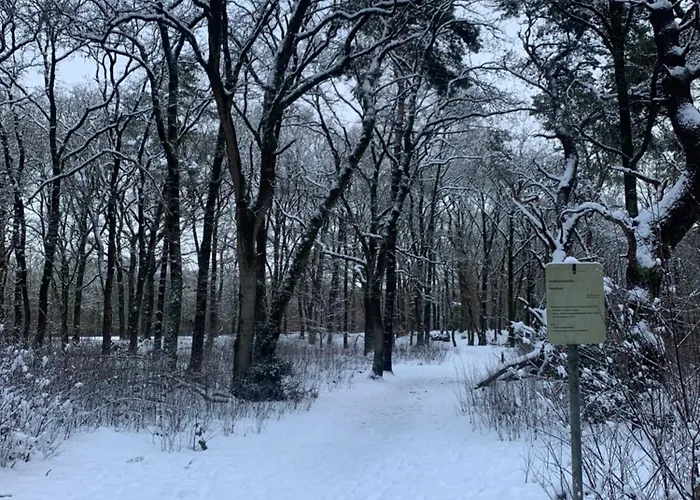 Rode Eekhoorn: Genieten Met De Dieren In Het Bos! Дом отдыха *